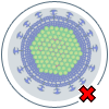 remove viruses